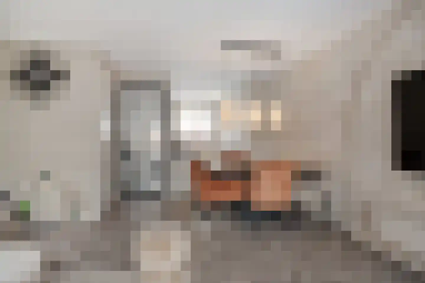 Maria van Oosterwijckstraat 1 Zoetermeer thumbnail 21