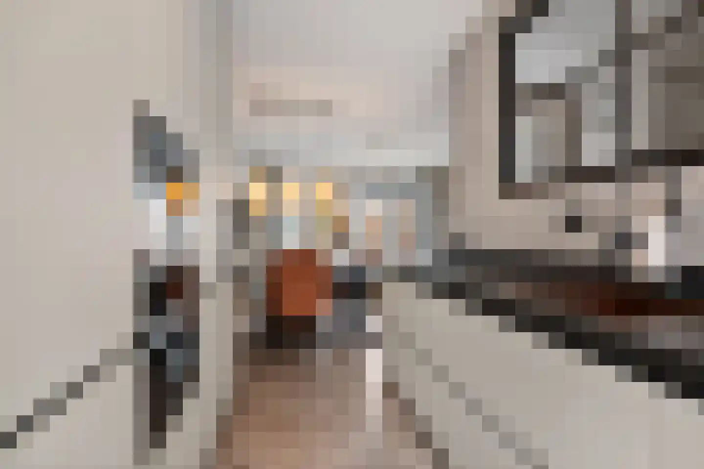 Maria van Oosterwijckstraat 1 Zoetermeer thumbnail 22