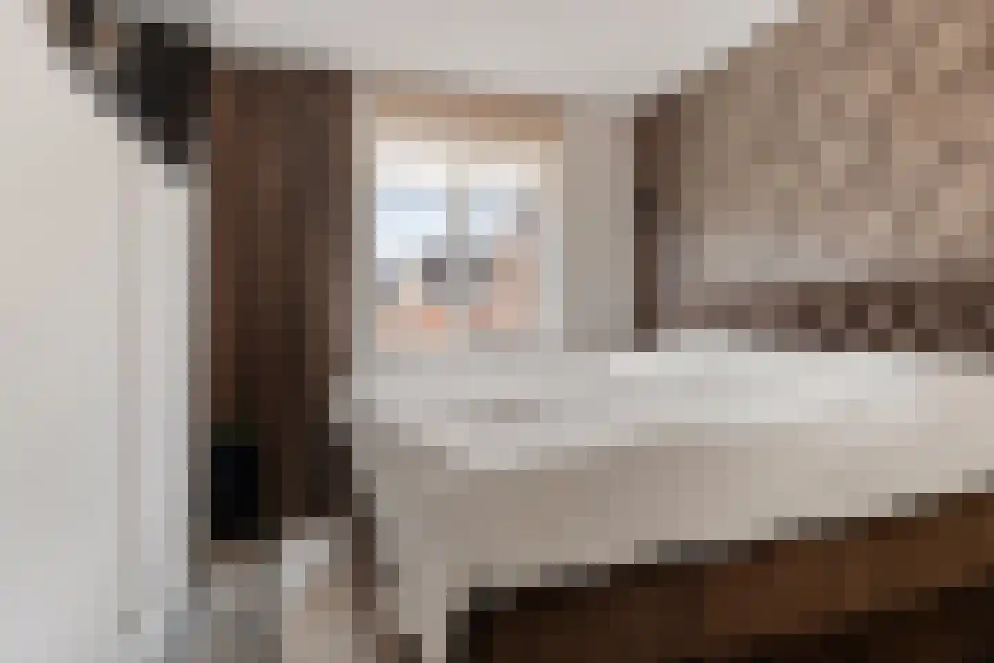 Maria van Oosterwijckstraat 1 Zoetermeer thumbnail 38