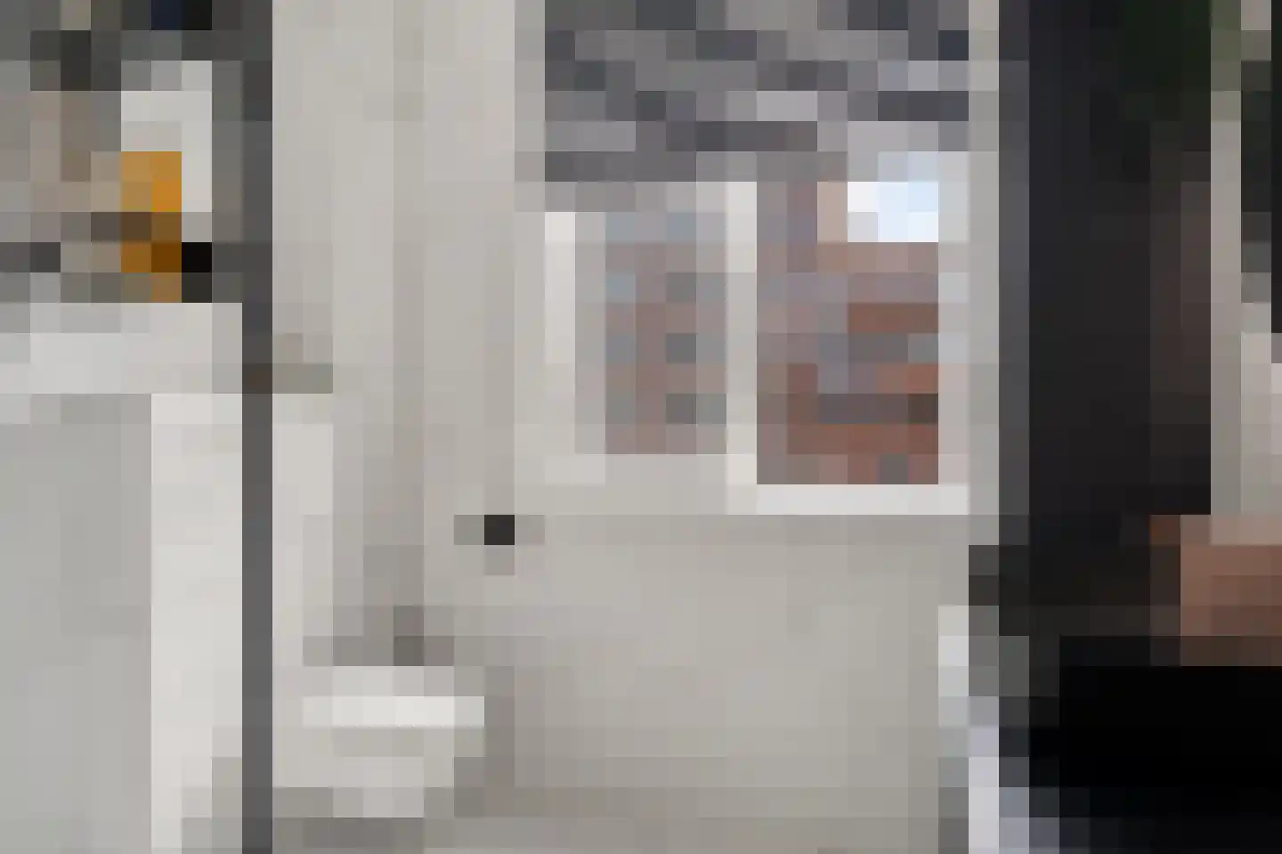 Maria van Oosterwijckstraat 1 Zoetermeer thumbnail 44