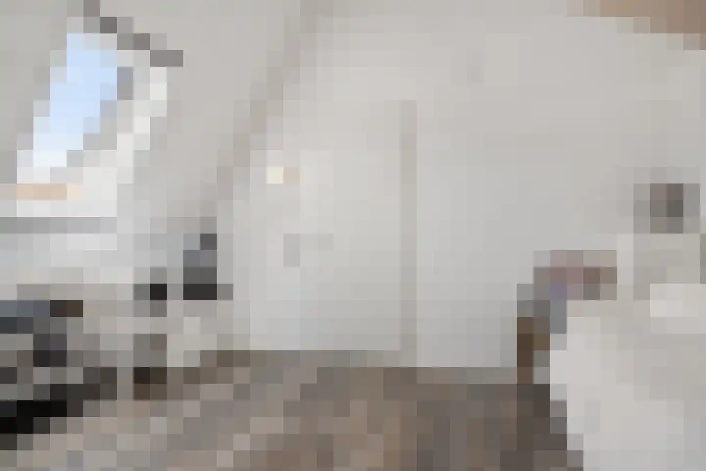 Maria van Oosterwijckstraat 1 Zoetermeer thumbnail 52