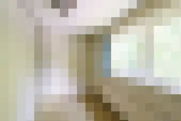Maria van Oosterwijckstraat 13 Nootdorp thumbnail 12