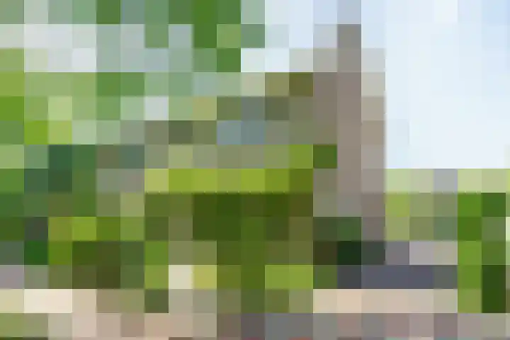 Maria van Oosterwijckstraat 13 Nootdorp thumbnail 4
