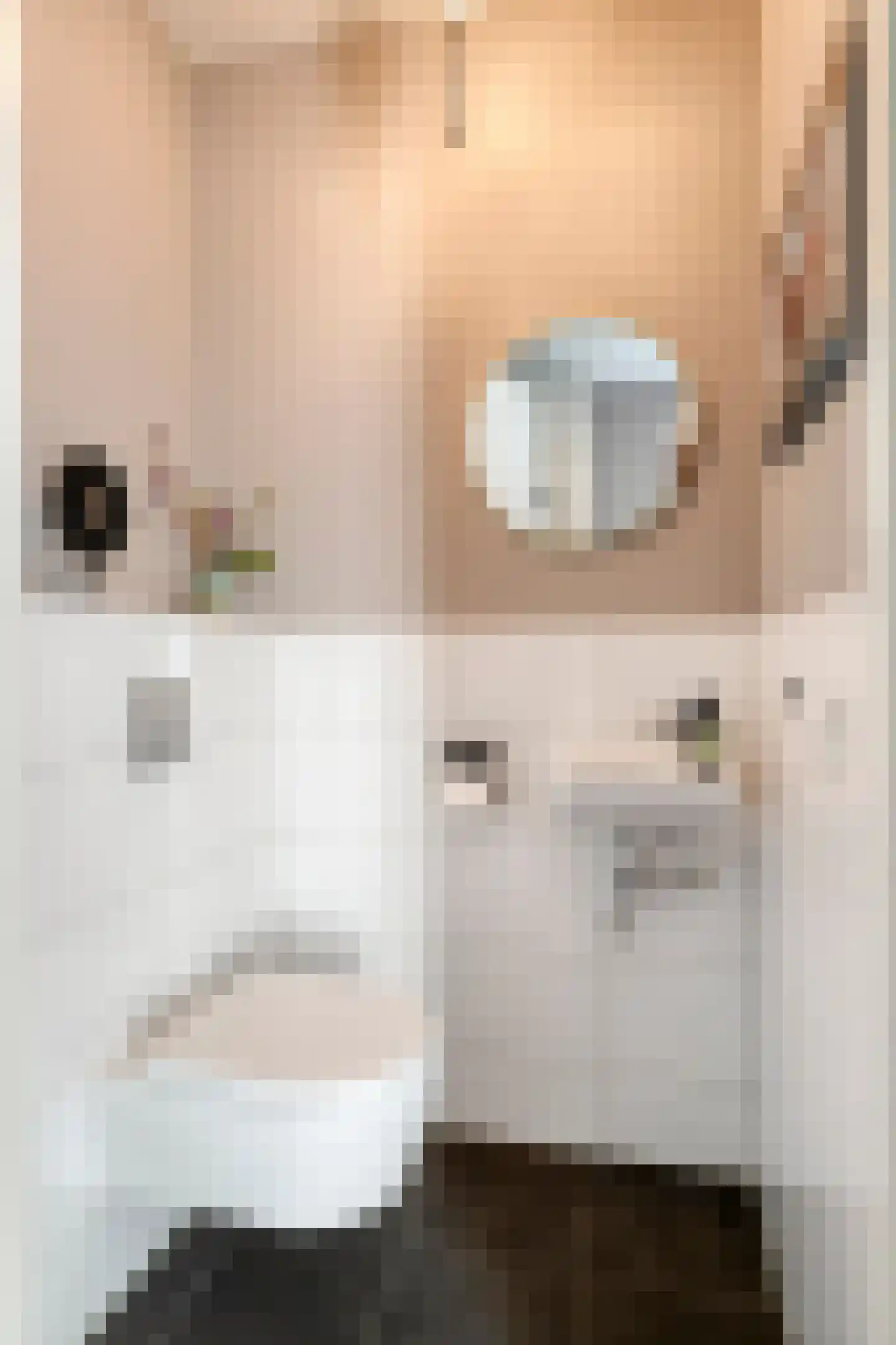 Maria van Oosterwijckstraat 22 Eindhoven thumbnail 12