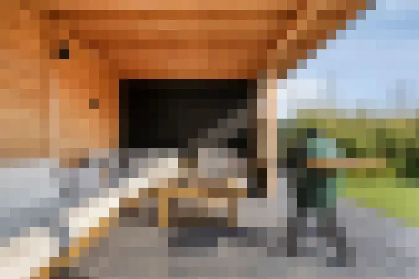 Maria van Oosterwijckstraat 22 Eindhoven thumbnail 27