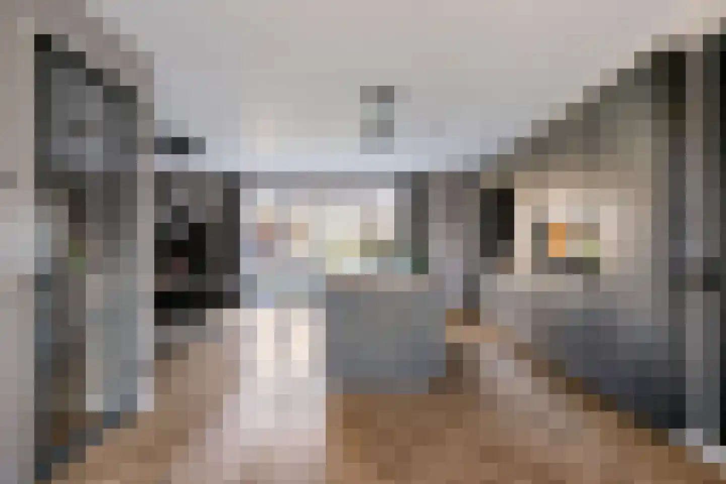 Maria van Oosterwijckstraat 22 Eindhoven thumbnail 4