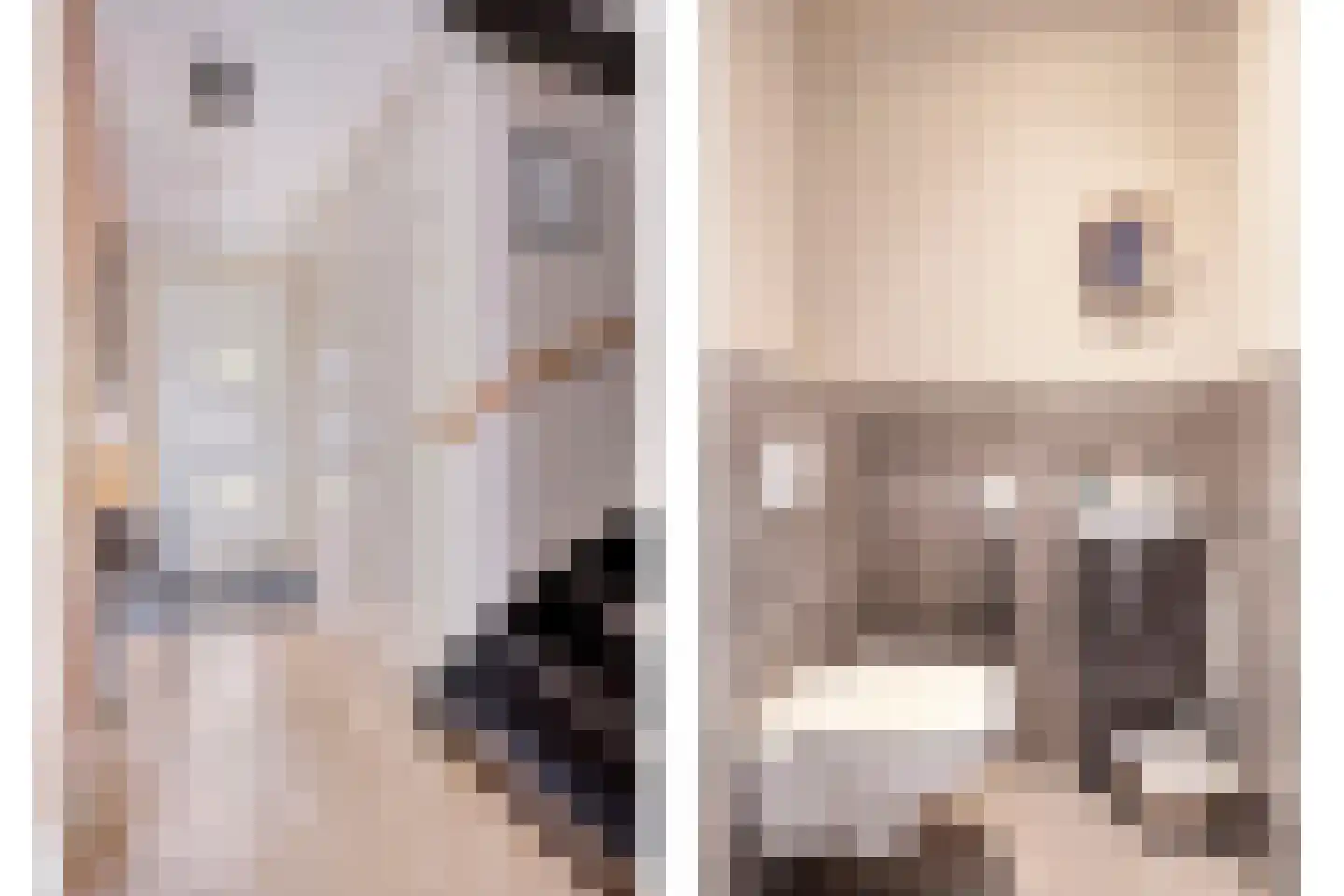 Maria van Oosterwijckstraat 4 Zoetermeer thumbnail 10