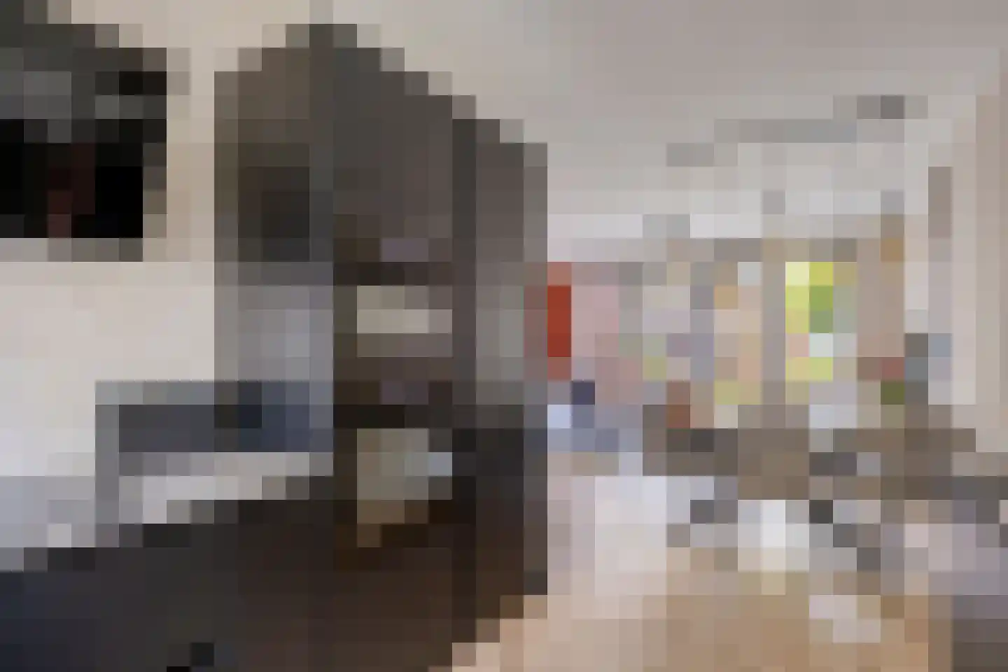 Maria van Oosterwijckstraat 4 Zoetermeer thumbnail 17