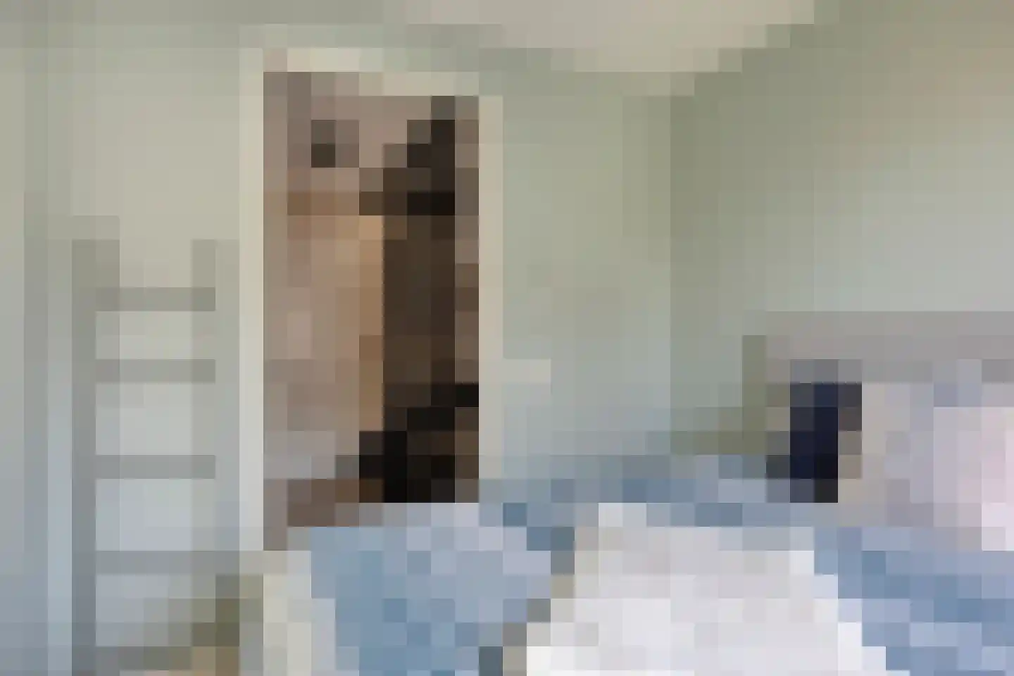Maria van Oosterwijckstraat 4 Zoetermeer thumbnail 25