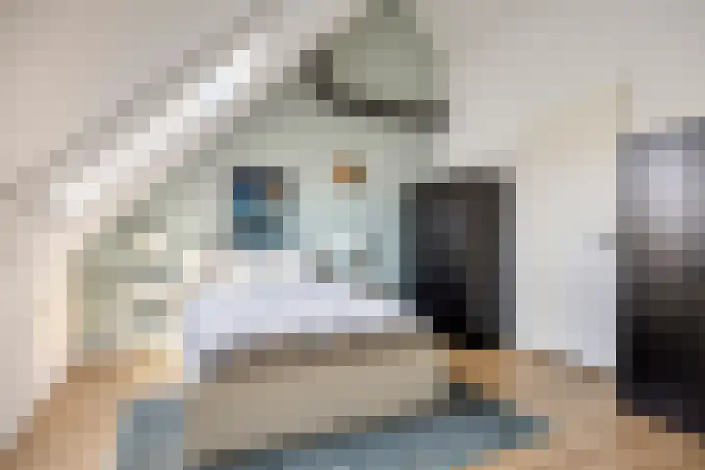 Maria van Oosterwijckstraat 4 Zoetermeer thumbnail 31