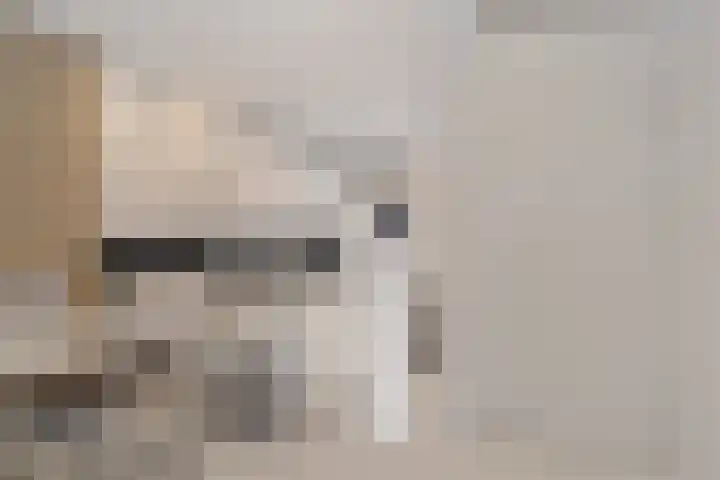 Maria van Oosterwijckstraat 49 Zoetermeer thumbnail 16
