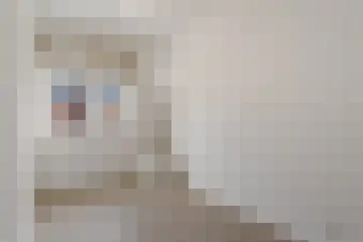 Maria van Oosterwijckstraat 49 Zoetermeer thumbnail 25