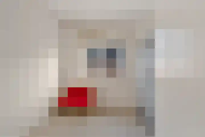 Maria van Oosterwijckstraat 49 Zoetermeer thumbnail 27