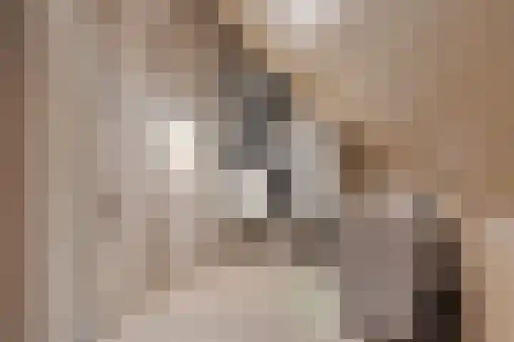 Maria van Oosterwijckstraat 49 Zoetermeer thumbnail 36
