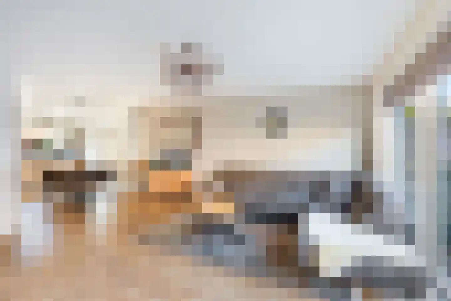 Maria van Oosterwijckstraat 6 Delft thumbnail 12