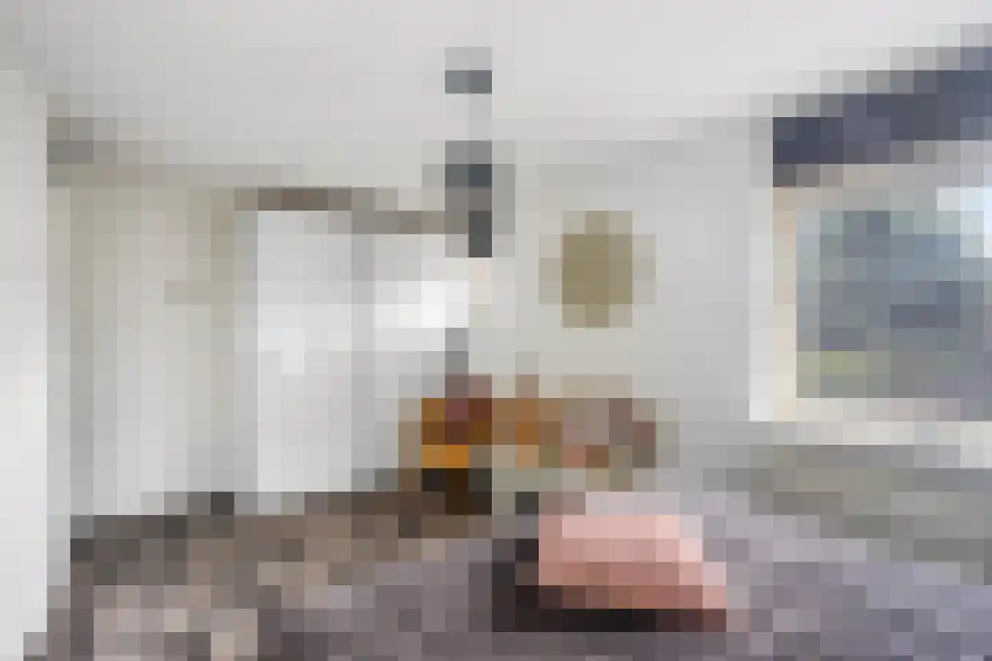 Maria van Oosterwijckstraat 6 Delft thumbnail 16