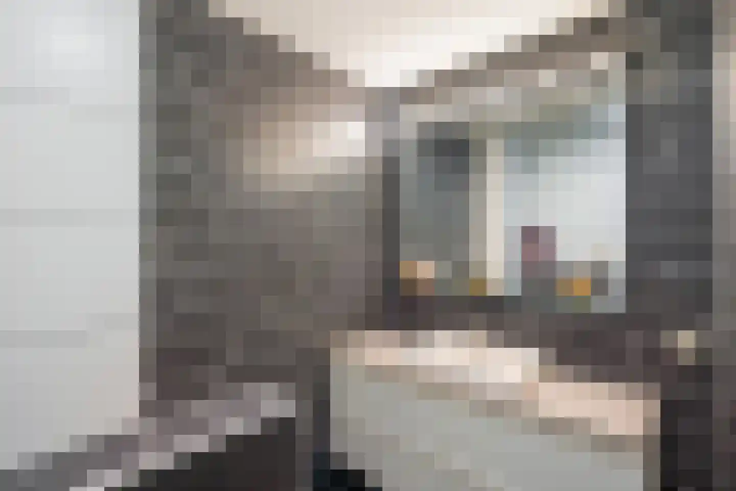 Maria van Oosterwijckstraat 6 Delft thumbnail 19