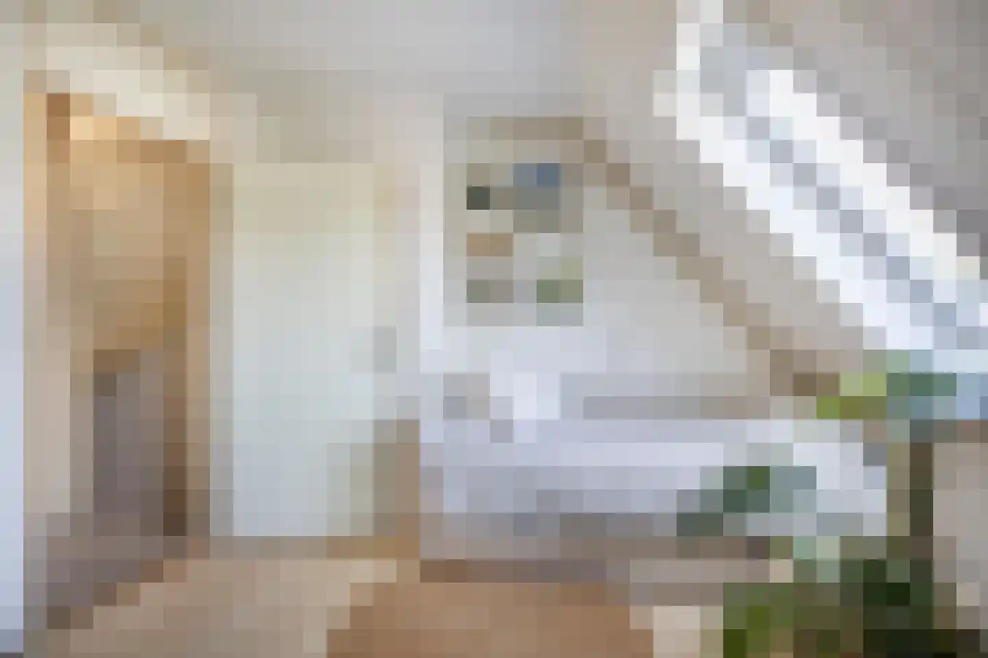 Maria van Osstraat 10 Ede thumbnail 22
