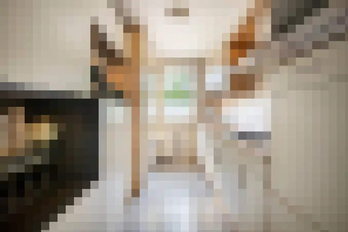 Maria van Osstraat 10 Ede thumbnail 9