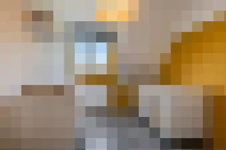 Maria van Osstraat 3 Ede thumbnail 17