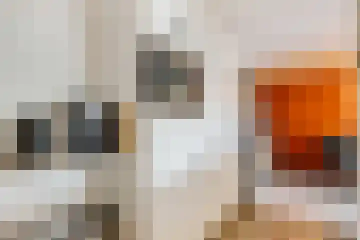 Maria van Osstraat 3 Ede thumbnail 9