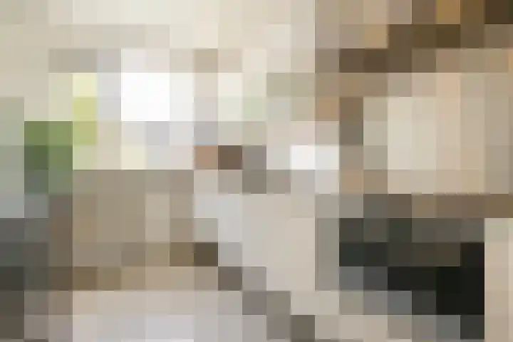 Maria van Osstraat 4 Ede thumbnail 11