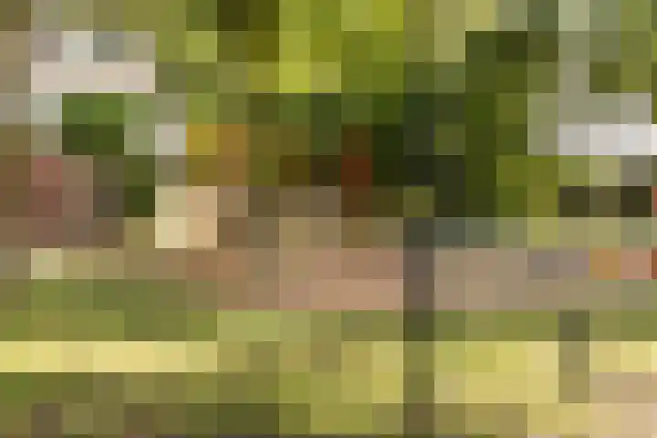 Maria van Osstraat 4 Ede thumbnail 33