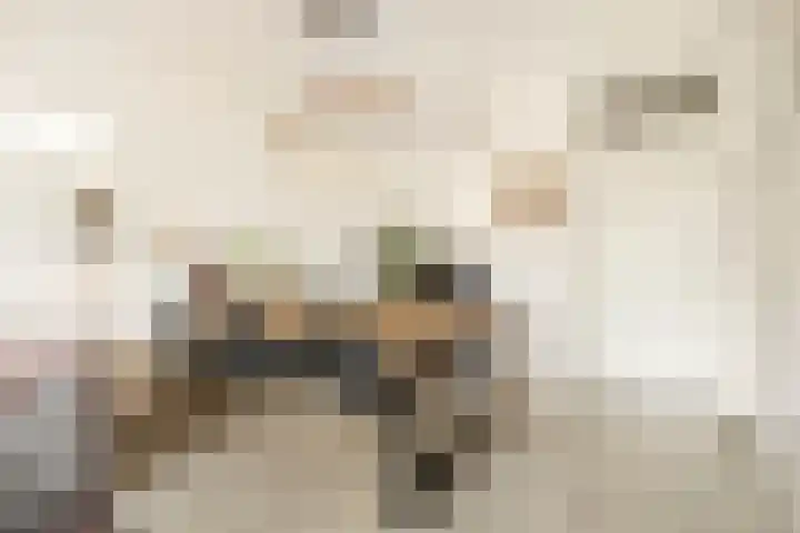 Maria van Osstraat 4 Ede thumbnail 8