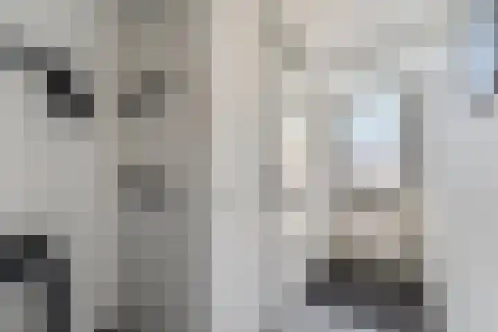 Maria van Osstraat 5 Ede thumbnail 8