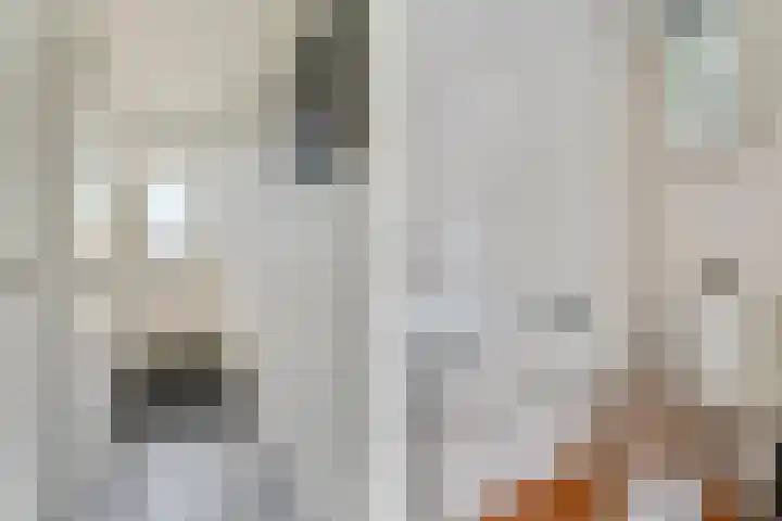 Maria van Osstraat 5 Ede thumbnail 9