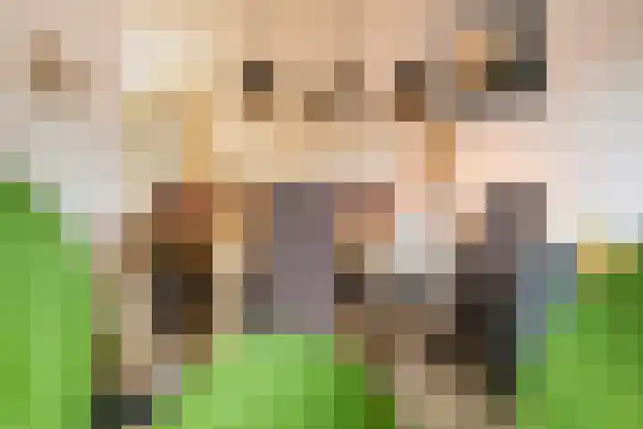 Maria van Osstraat 6 Ede thumbnail 10