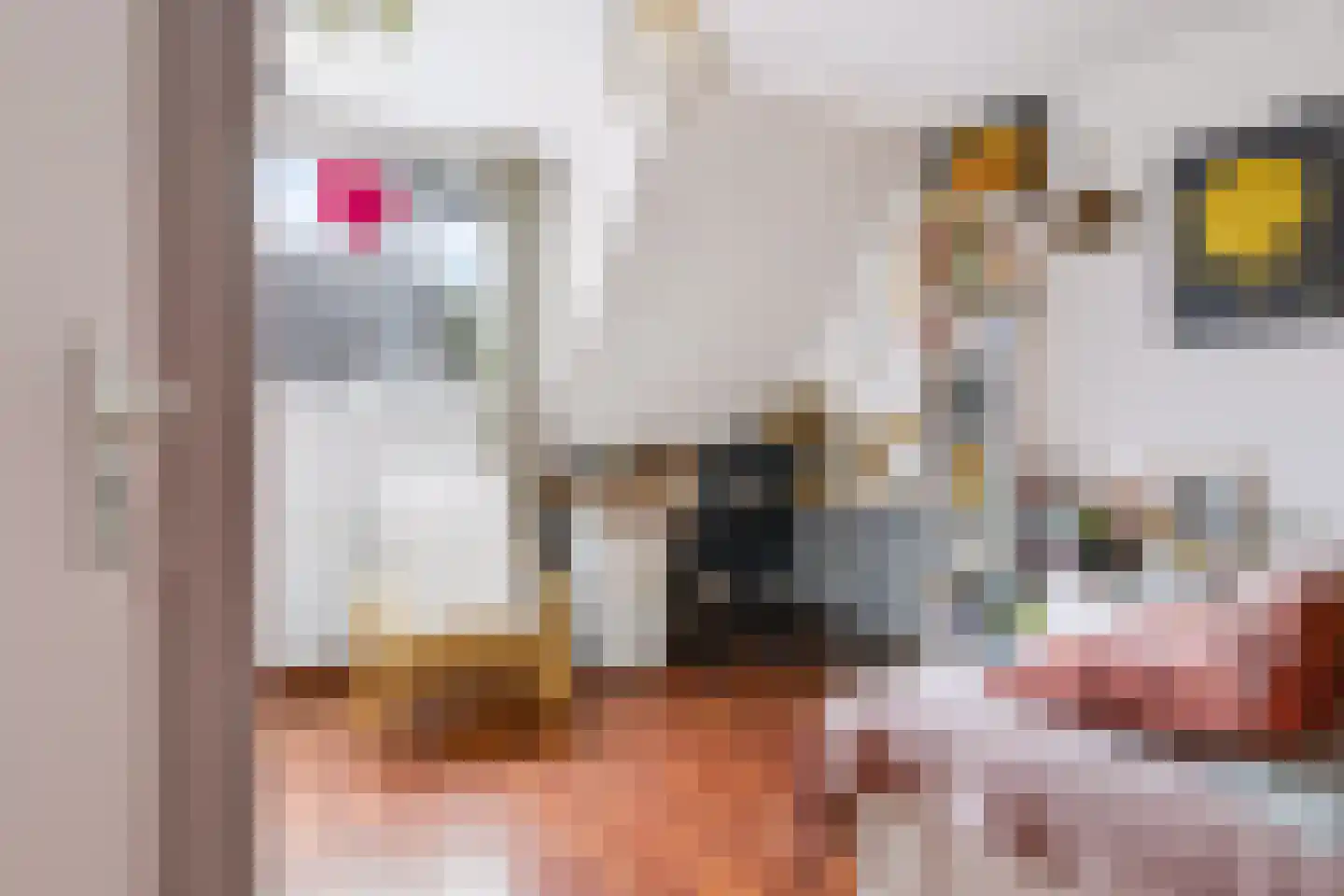 Maria van Osstraat 69 Ede thumbnail 24