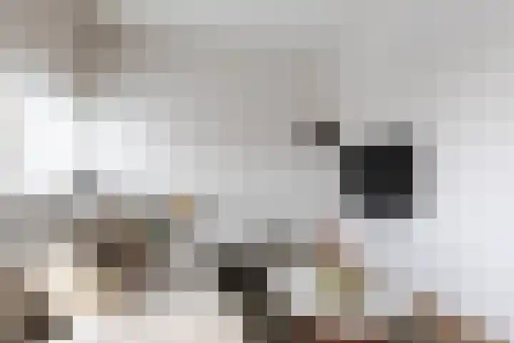 Maria van Reedestraat 11 BS Utrecht thumbnail 16