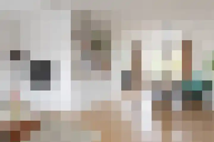 Maria van Reedestraat 11 BS Utrecht thumbnail 19