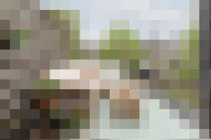 Maria van Reedestraat 11 BS Utrecht thumbnail 33