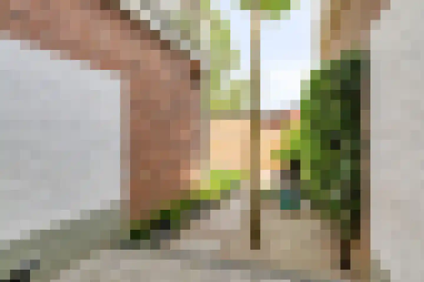 Maria van Reedestraat 17 Utrecht thumbnail 29