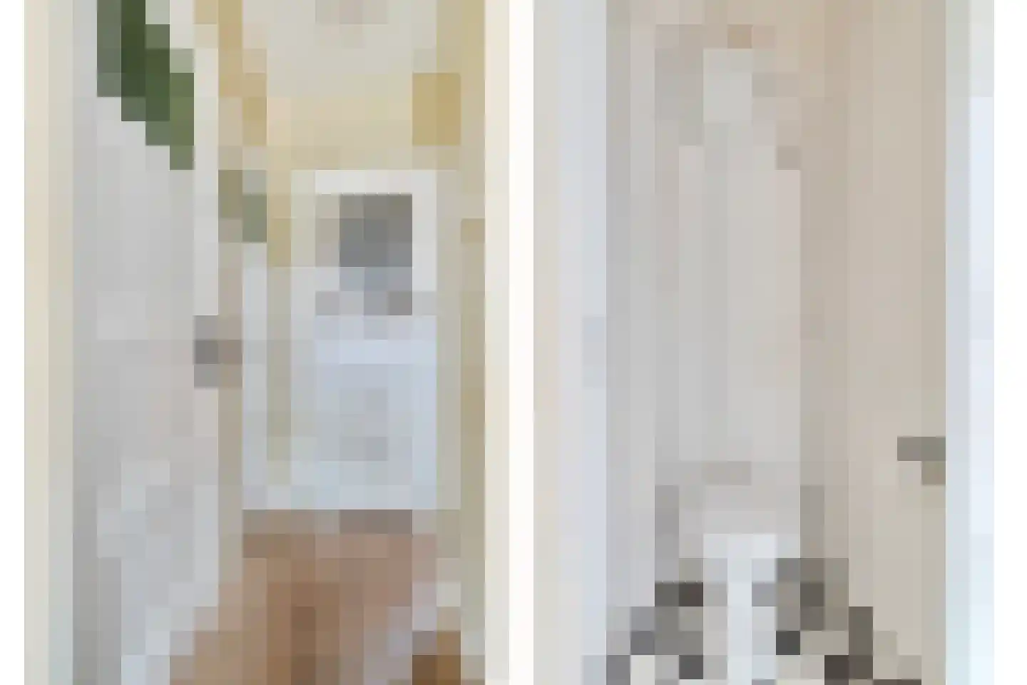 Maria van Reedestraat 17 Utrecht thumbnail 33