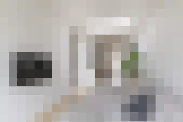 Maria van Reedestraat 19 Utrecht thumbnail 10