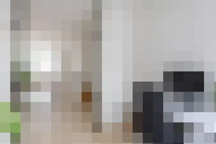 Maria van Reedestraat 19 Utrecht thumbnail 18