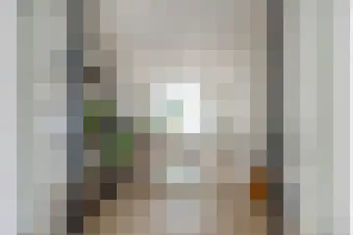 Maria van Reedestraat 19 Utrecht thumbnail 19