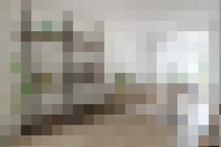 Maria van Reedestraat 19 Utrecht thumbnail 20