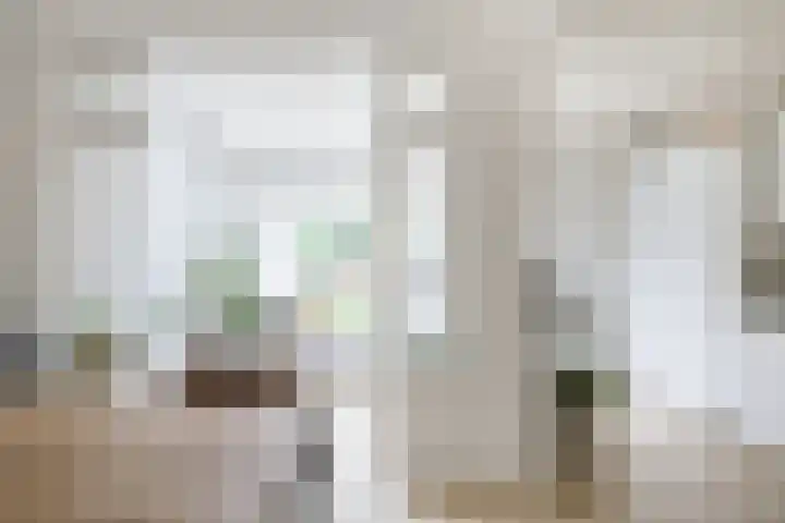 Maria van Reedestraat 19 Utrecht thumbnail 22