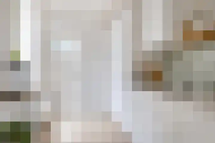 Maria van Reedestraat 19 Utrecht thumbnail 25