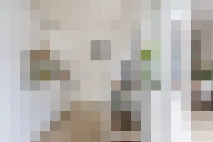 Maria van Reedestraat 19 Utrecht thumbnail 26