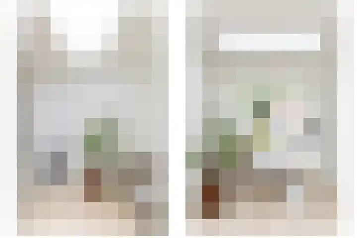 Maria van Reedestraat 19 Utrecht thumbnail 29