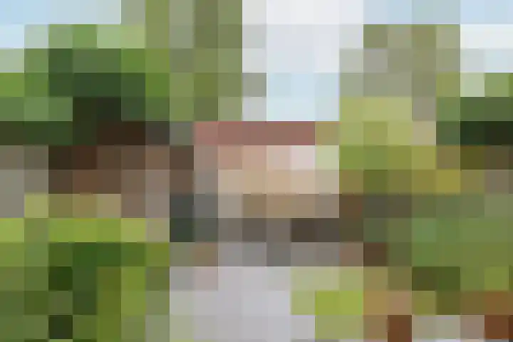 Maria van Reedestraat 19 Utrecht thumbnail 35