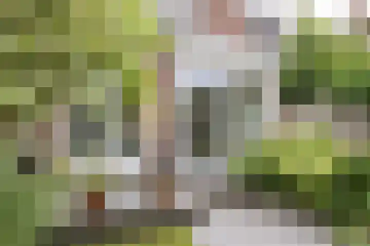 Maria van Reedestraat 19 Utrecht thumbnail 39
