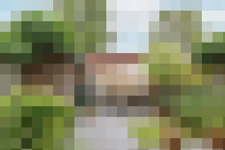 Maria van Reedestraat 19 Utrecht thumbnail 5