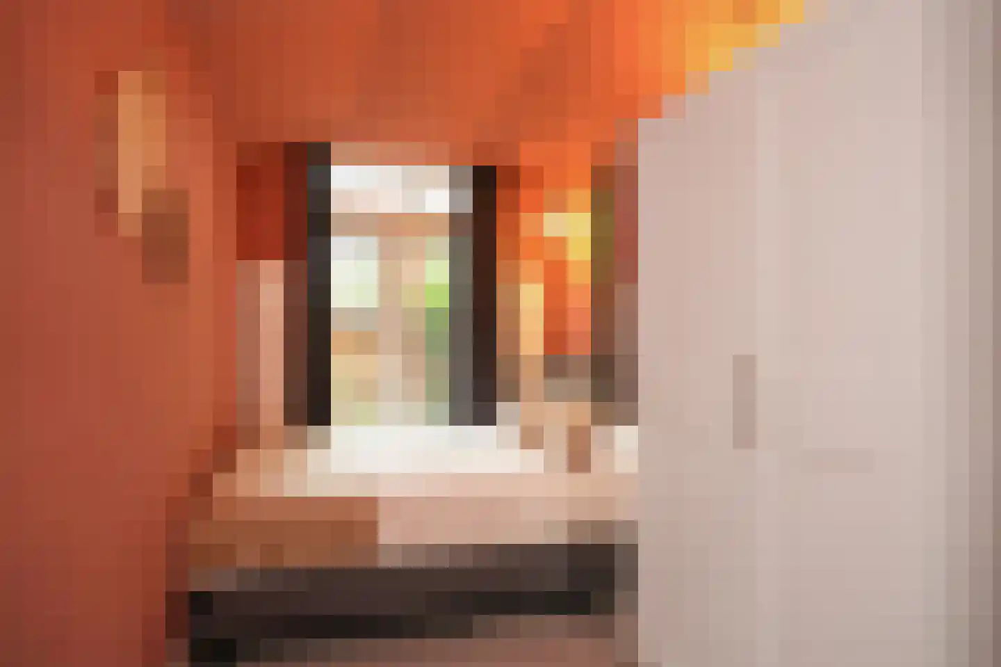 Maria van Reedestraat 9 Utrecht thumbnail 23