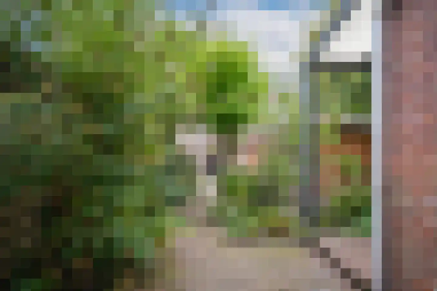 Maria van Reedestraat 9 Utrecht thumbnail 29